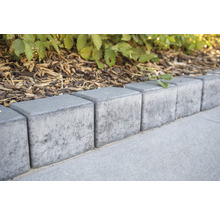 Aménagement paysager de jardin avec des bordures de pelouse en béton