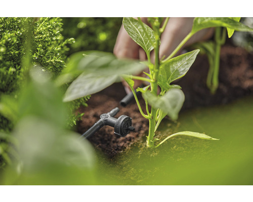 Tropfbewässerung mit Regulier- und Absperrventil für Pflanzen