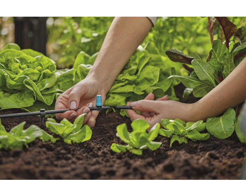 Installation eines Bewässerungssystems im Gartenbeet