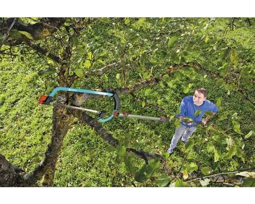 Un homme coupe un arbre avec une scie à branches