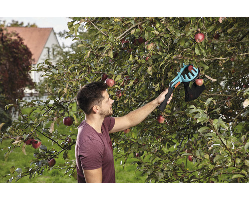 Un homme récolte des pommes avec un cueille-pommes dans le jardin.
