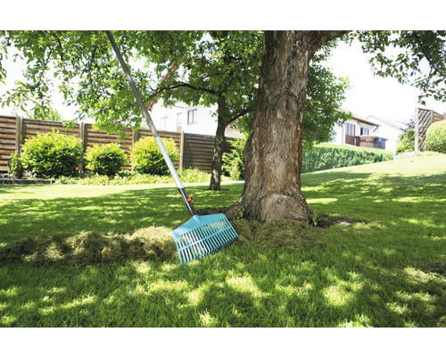 Jardin avec pelouse, arbre et râteau pour le jardinage