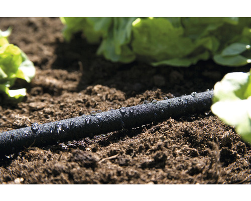 Bewässerungsschlauch im Gartenbeet mit Pflanzen