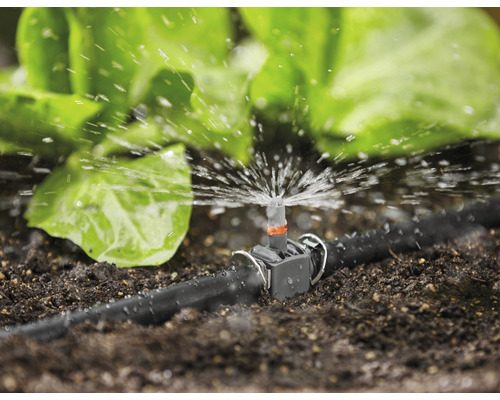 Système d''irrigation dans le jardin avec arroseur et plantes