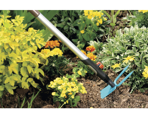 Scène de jardin avec une houe de jardin pour ameublir le sol entre les fleurs