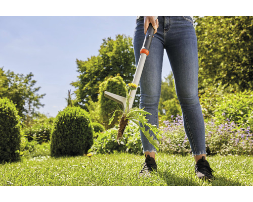 Femme enlevant un pissenlit avec un désherbeur dans le jardin.