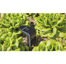 Capteur intelligent GARDENA pour humidité et température du sol; Compatible avec SMART HOME by hornbach-thumb-3