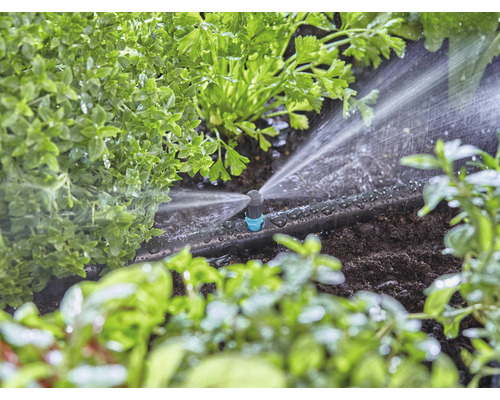 Bewässerungssystem im Einsatz zwischen Pflanzen im Garten