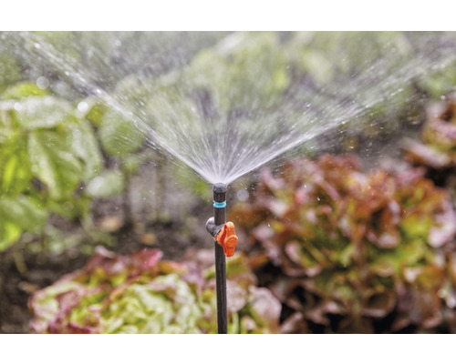 Gartenszene mit einem Sprinkler zur Bewässerung von Pflanzen