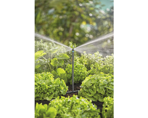 Système d''irrigation de jardin avec arroseur en fonctionnement entre des plants de salade.