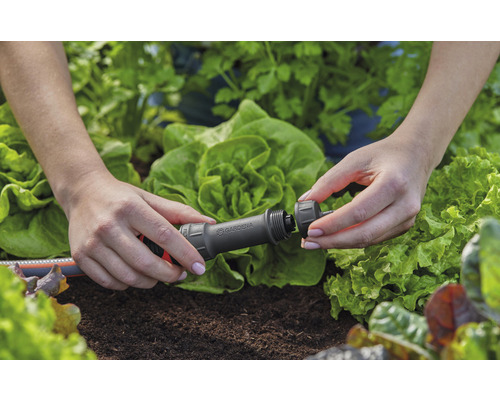 Système d''irrigation de jardin avec goutteurs en ligne à régulation de débit pour un arrosage précis