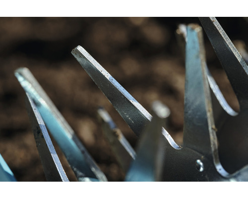 Gros plan d''une griffe de jardin