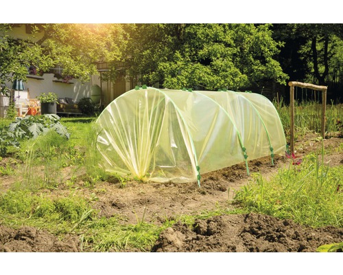 Tunnel de serre dans le jardin pour la culture de plantes