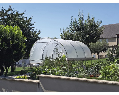 Gewächshaus mit Pflanzen im Garten