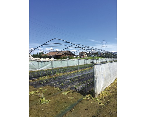 Gewächshaus mit Folie und Gemüsebeet im Freien