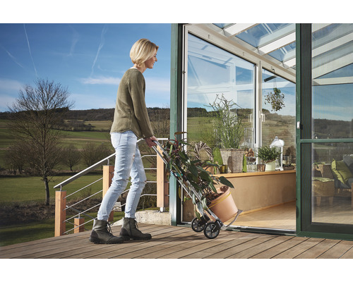 Frau transportiert Pflanze mit einem Pflanzenroller in ein Gewächshaus