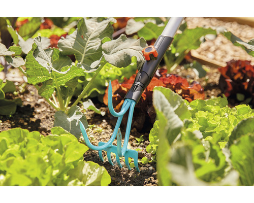 Outil de jardin pour ameublir le sol dans le potager