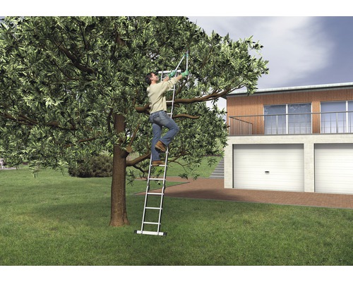 Une personne se tient sur une échelle et coupe un arbre avec un sécateur.