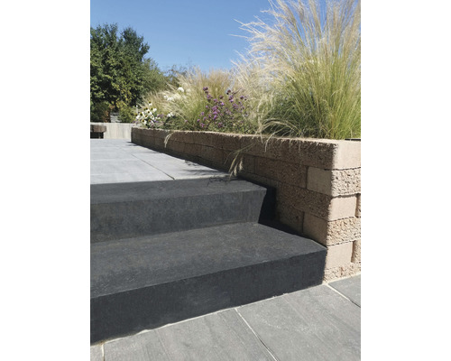 Jardin avec escalier et mur végétalisé