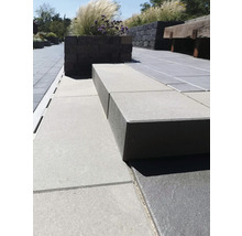 Chemin de jardin avec pavés, jardinière et banc