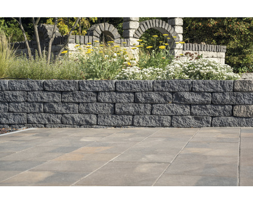 Un mur de pierre avec des plantes et des arches en pierre en arrière-plan