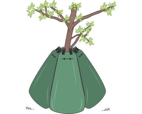 Illustration d''un arbre avec sac d''arrosage