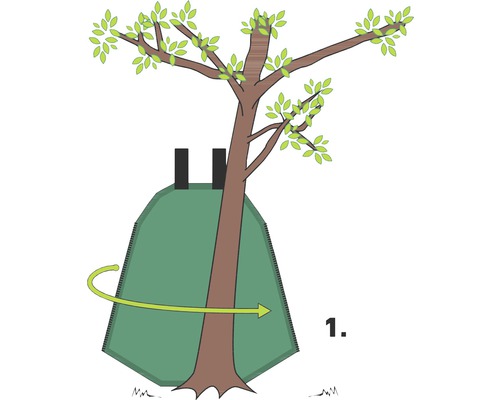 Illustration de l''application d''une protection contre les campagnols autour d''un tronc d''arbre.