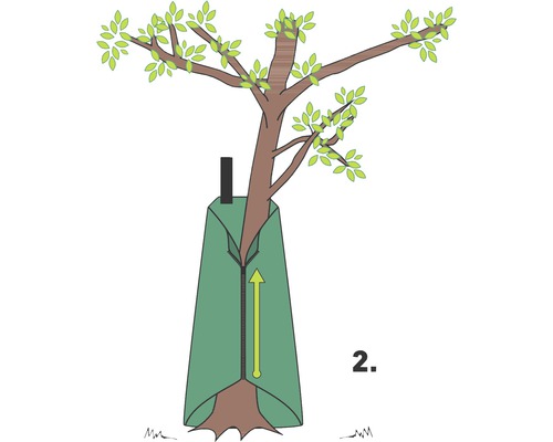 Illustration d''un arbre avec un sac de protection contre le gel et une flèche indiquant la direction de la fermeture éclair.