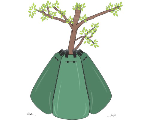 Arbre avec sac d''arrosage