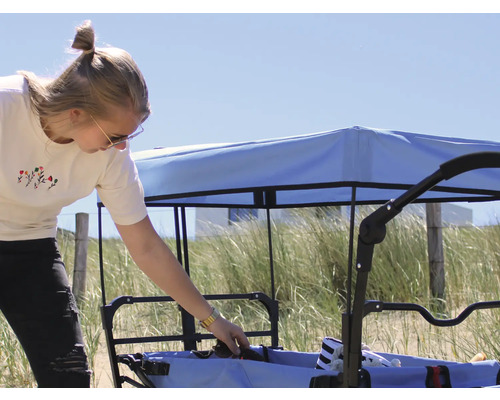 Chariot de transport avec toit sur une plage de sable avec une femme