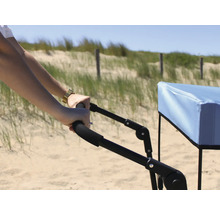 Person schiebt einen Bollerwagen am Strand.