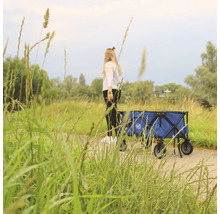 Frau zieht einen blauen Bollerwagen durch eine Wiese.