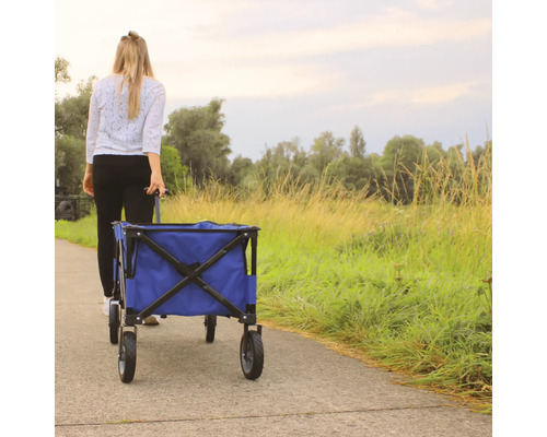 Femme tirant un chariot sur un chemin