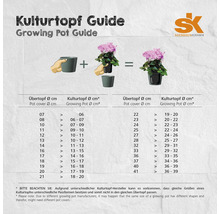 Übertopf Soendgen Basel Spring Keramik Ø 14 cm H 13 cm morgenrot
