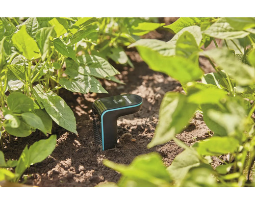 Capteur intelligent Gardena dans le jardin pour mesurer l''humidité du sol