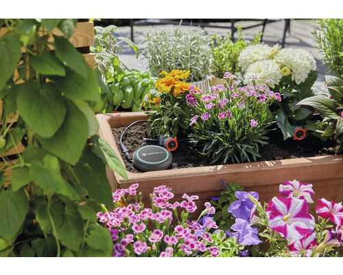 Gardena Smart Irrigation Control System in einem Blumenkasten mit verschiedenen Pflanzen