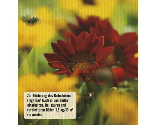 Blumenfeld mit Hinweisen zur Förderung des Bodenlebens