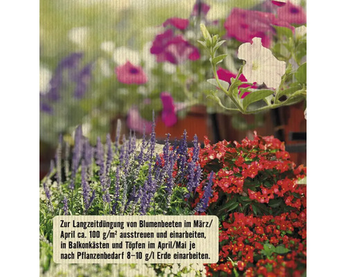 Blumenbeet mit blühenden Pflanzen