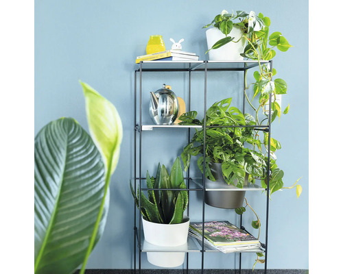 Étagère décorative avec plantes et objets décoratifs