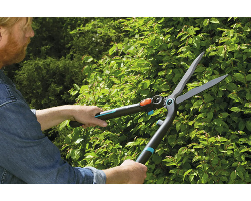 Une personne coupe une haie avec un taille-haie.
