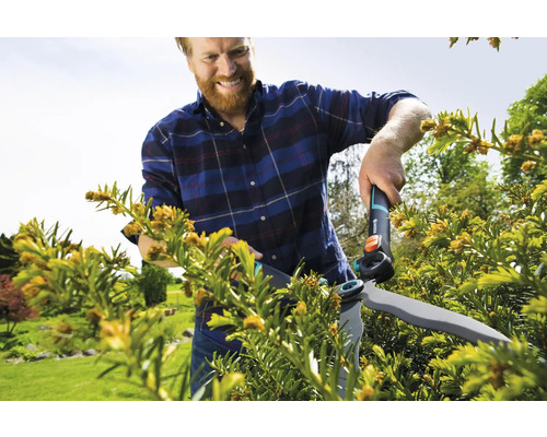 Un homme taille une haie avec un taille-haie dans le jardin.