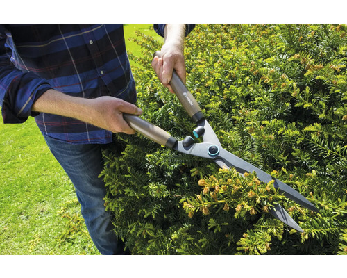 Eine Person schneidet eine Hecke mit einer Heckenschere.