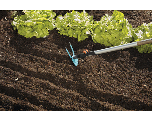 Sarcloir de jardin en utilisation à côté de plants de salade