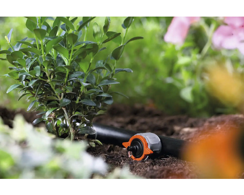Système d''arrosage de jardin avec goutteur et plantes dans un parterre