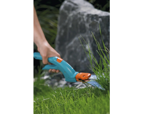 Cisailles de jardin coupant de l''herbe