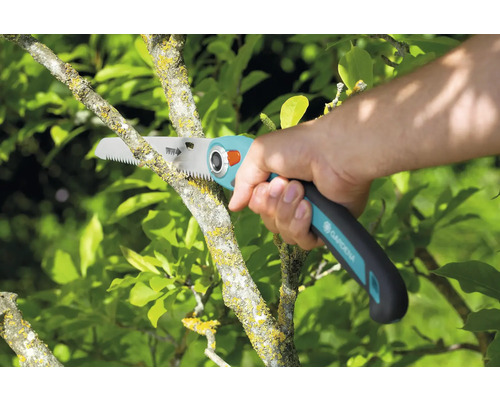 Jardinage avec une scie à élaguer lors de la taille d''une branche d''arbre