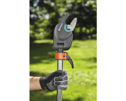 Sécateur avec manche télescopique en main