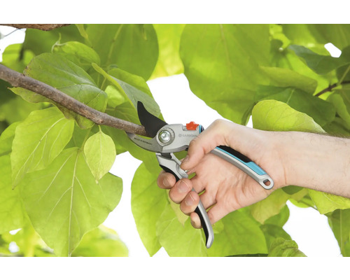 Eine Gartenschere schneidet einen Ast vor einem Hintergrund grüner Blätter.