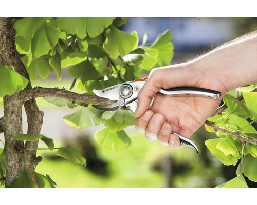 Eine Hand schneidet einen Ast mit einer Gartenschere