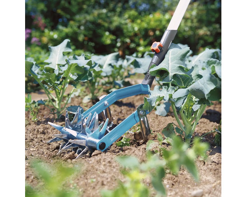 Outil de jardinage pour le travail du sol utilisé entre les plantes